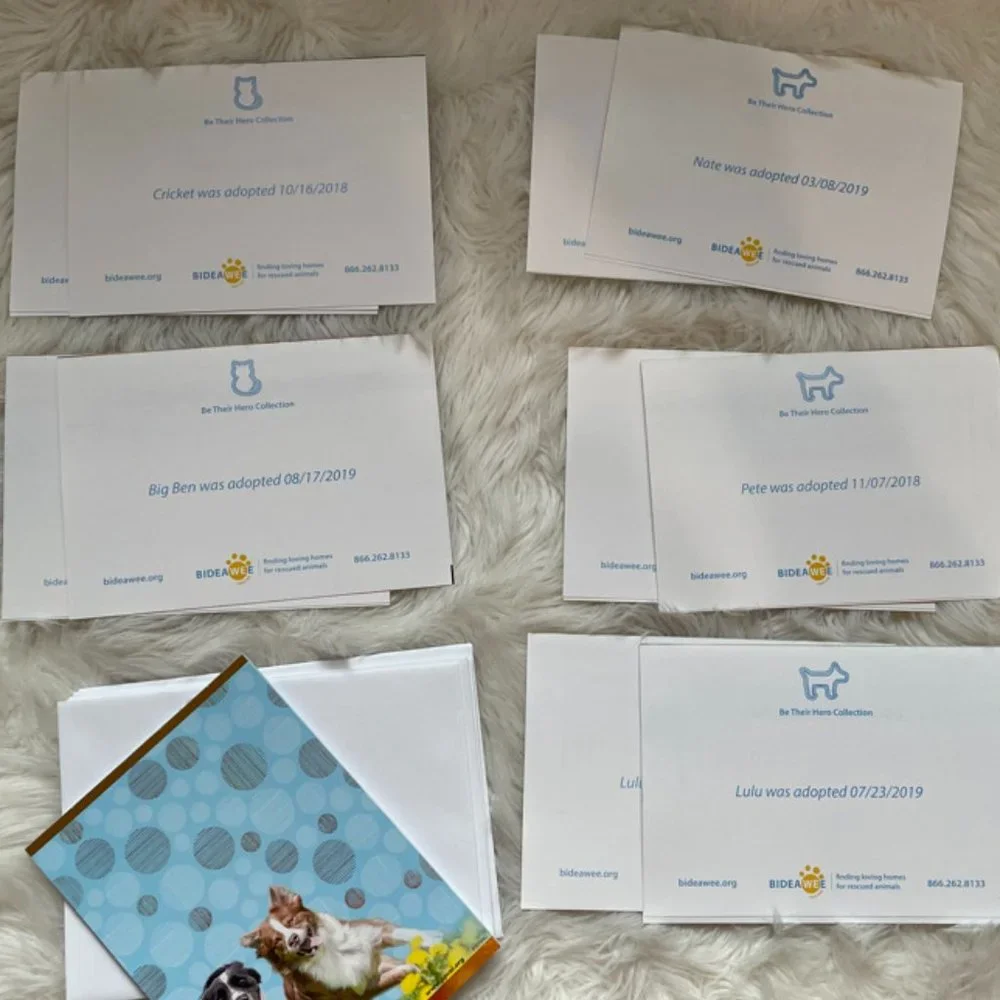 10 Cute Cuddly Cats & Dogs Cards, with matching print envelopes, 1 notebook